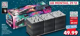 Kaufland WECO Verbund- Feuerwerk >>Zenith<< Angebot