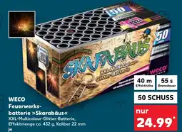 Kaufland WECO Feuerwerksbatterie >>Skarabäus<< Angebot