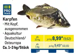 METRO Karpfen Angebot