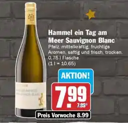 AEZ Hammel ein Tag am Meer Sauvignon Blanc Angebot