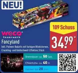 Aldi Nord Weco Fancyland Angebot