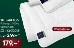 Galeria billerbeck Kamelhaar-Einziehdecke BRILLANT DUO Angebot