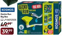Galeria KOSMOS Gecko Run Big Box Angebot