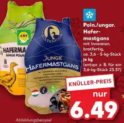 Kaufland Poln./ungar. Hafermastgans Angebot