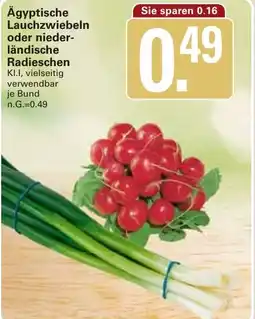 WEZ Ägyptische Lauchzwiebeln oder niederländische Radieschen Angebot