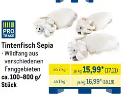 METRO Tintenfisch Sepia Angebot