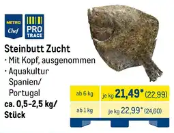 METRO Steinbutt Zucht Angebot