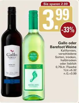 WEZ Gallo oder Barefoot Weine Angebot