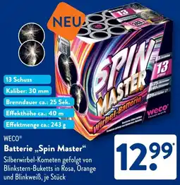 Aldi Süd WECO Batterie „Spin Master❝ Angebot