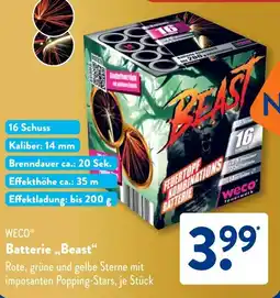 Aldi Süd WECO Batterie ,,Beast" Angebot