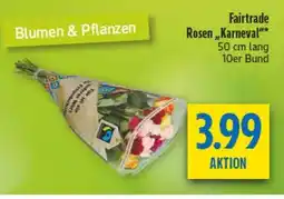 diska Fairtrade Rosen,,Karneval" Angebot