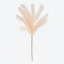 NKD Pampasgras-Kunstpflanze, Länge ca. 60 cm Angebot