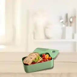 NKD Lunchbox mit beweglichem Trenner, ca. 19x11x6 cm Angebot