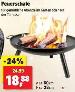 Thomas Philipps Feuerschale Angebot