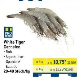 METRO White Tiger Garnelen Angebot