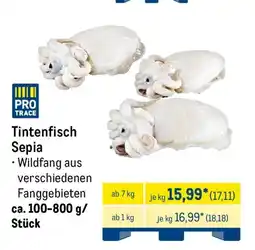 METRO Tintenfisch Sepia Angebot