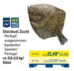 METRO Steinbutt Zucht Angebot