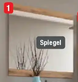 Opti Wohnwelt Spiegel Angebot