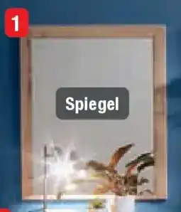 Opti Wohnwelt Spiegel Angebot