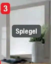 Opti Wohnwelt Spiegel Angebot