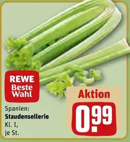 REWE Staudensellerie Angebot