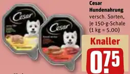 REWE Cesar Hundenahrung Angebot