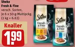 REWE Sheba Fresh & Fine Angebot