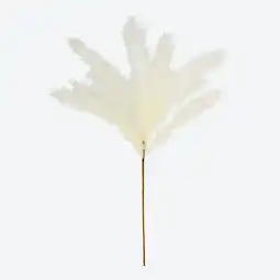 NKD Pampasgras-Kunstpflanze, Länge ca. 60 cm Angebot