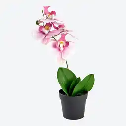 NKD Deko-Kunstblume im Topf, Höhe ca. 33 cm Angebot