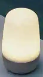 Zurbrüggen blomus LED-Outdoorleuchte Spirit Angebot