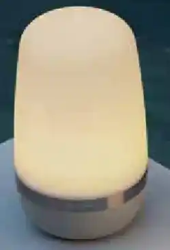 Zurbrüggen blomus LED-Outdoorleuchte Spirit Angebot