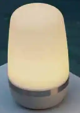 Zurbrüggen blomus LED-Outdoorleuchte Spirit Angebot