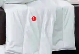 Zurbrüggen CENTA-STAR Faserdecke Feelings Angebot