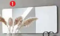 Zurbrüggen Voleo Spiegel Angebot