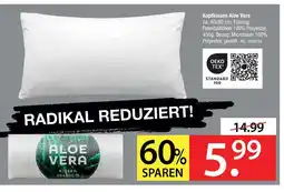 Zurbrüggen Kopfkissen aloe vera Angebot