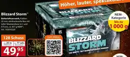 Sonderpreis Baumarkt Blizzard Storm Angebot