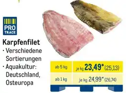 METRO Karpfenfilet Angebot