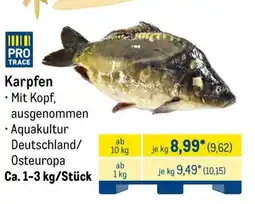 METRO Karpfen Angebot