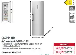 METRO gorenje Gefrierschrank FN619DAXL69 Angebot