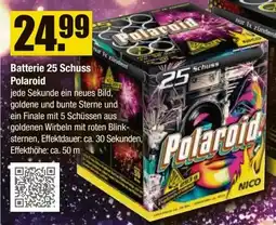 V Baumarkt NICO Feuerwerk Batterie 25 Schuss Polaroid Angebot