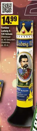 V Baumarkt NICO Feuerwerk Fontäne Ludwig II. 120 Schuss Angebot