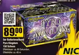 V Baumarkt NICO Feuerwerk 5er Batterieverbund Pyro Kingdom 150 Schuss Angebot