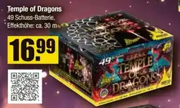 V Baumarkt NICO Feuerwerk Temple of Dragons Angebot