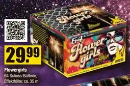 V Baumarkt NICO Feuerwerk Flowergirls Angebot