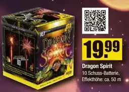 V Baumarkt NICO Feuerwerk Dragon Spirit Angebot