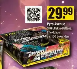V Baumarkt NICO Feuerwerk Pyro Avenue Angebot