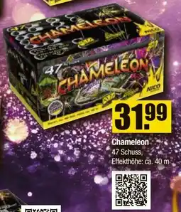 V Baumarkt NICO Feuerwerk Chameleon Angebot