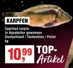 Handelshof KARPFEN Angebot