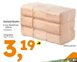 Globus Baumarkt Holzbriketts Angebot