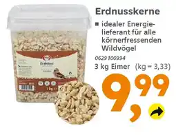 Globus Baumarkt Erdnusskerne Angebot